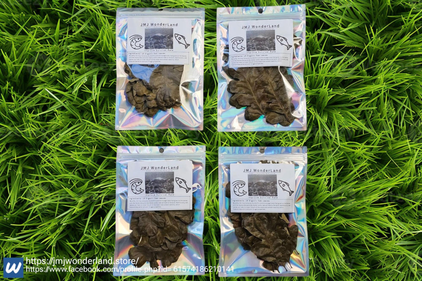 15x Organic Dried Oak Leaves BackYard Grow 4-5" Length - FAST SHIPPING!