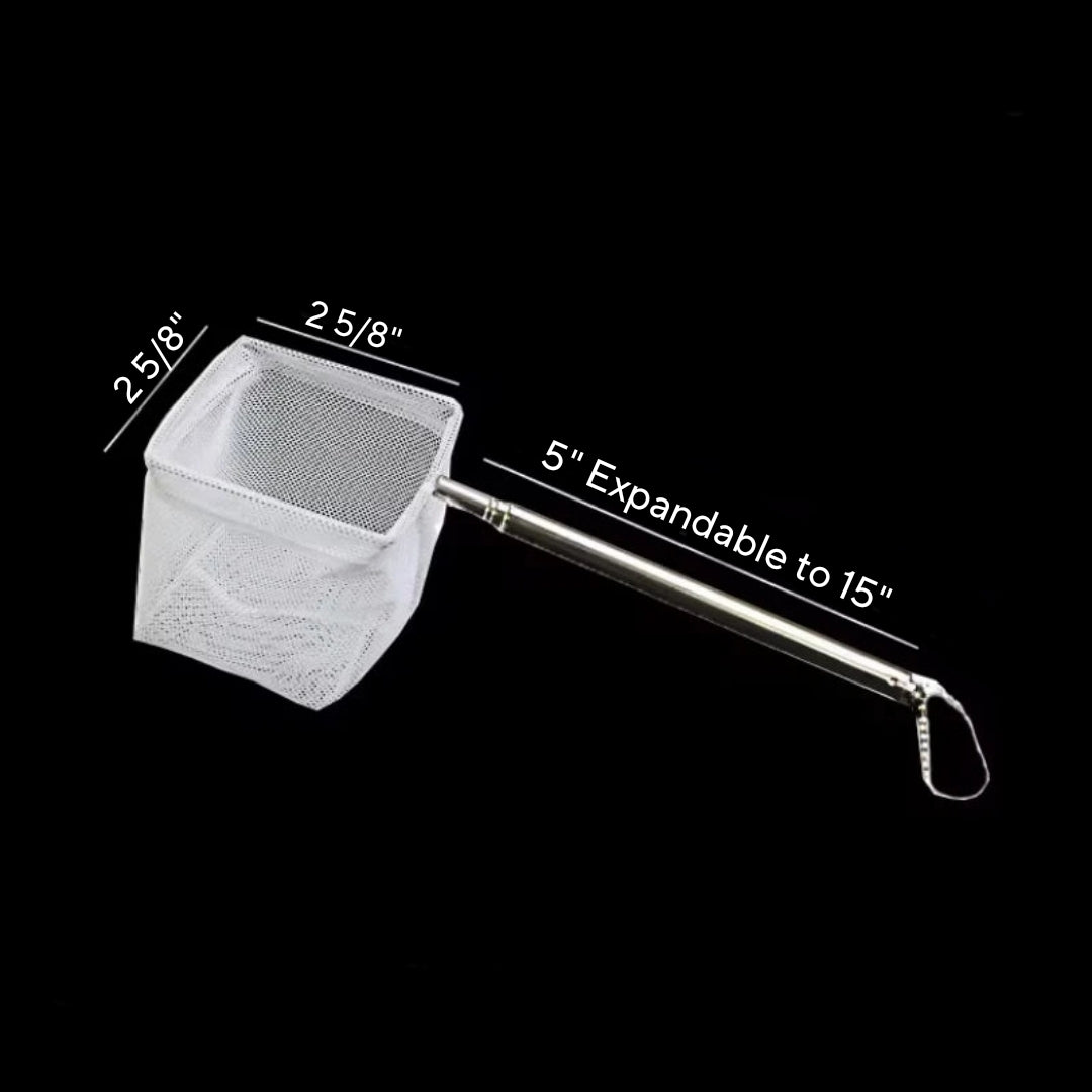 2.5" Small Mini Fish Net - Perfect For Shrimp - Your Shrimp Will Be Happy You Have One! FAST SHIPPING! From USA