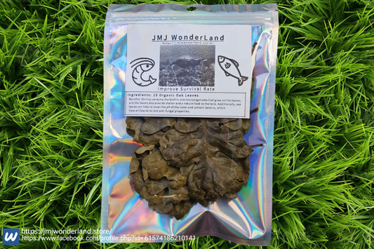 15x Organic Dried Oak Leaves BackYard Grow 4-5" Length - FAST SHIPPING!